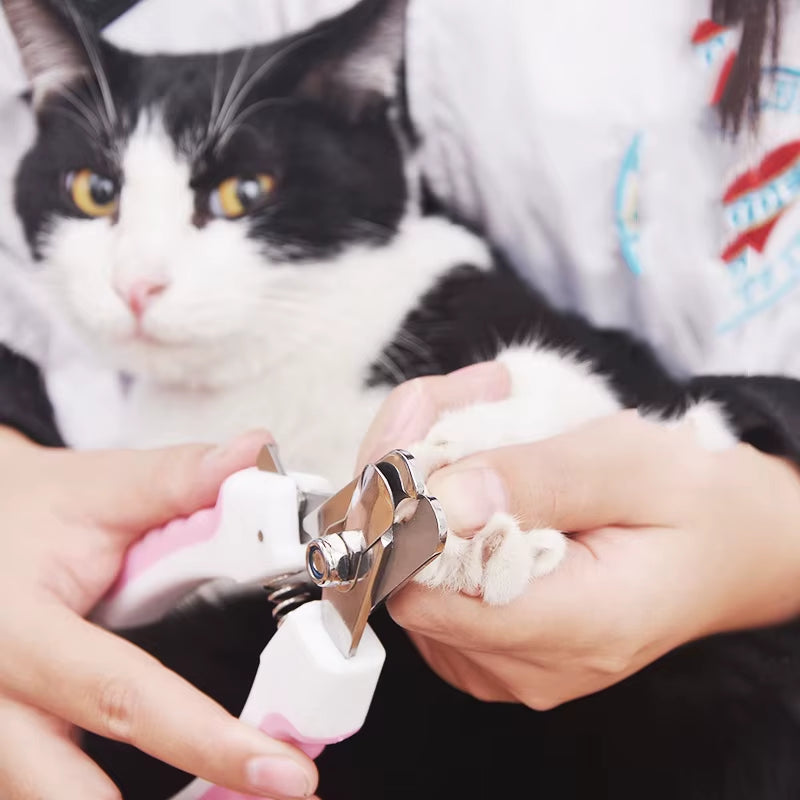 Krallenschere für Katzen und kleine Hunde – Ansicht 3