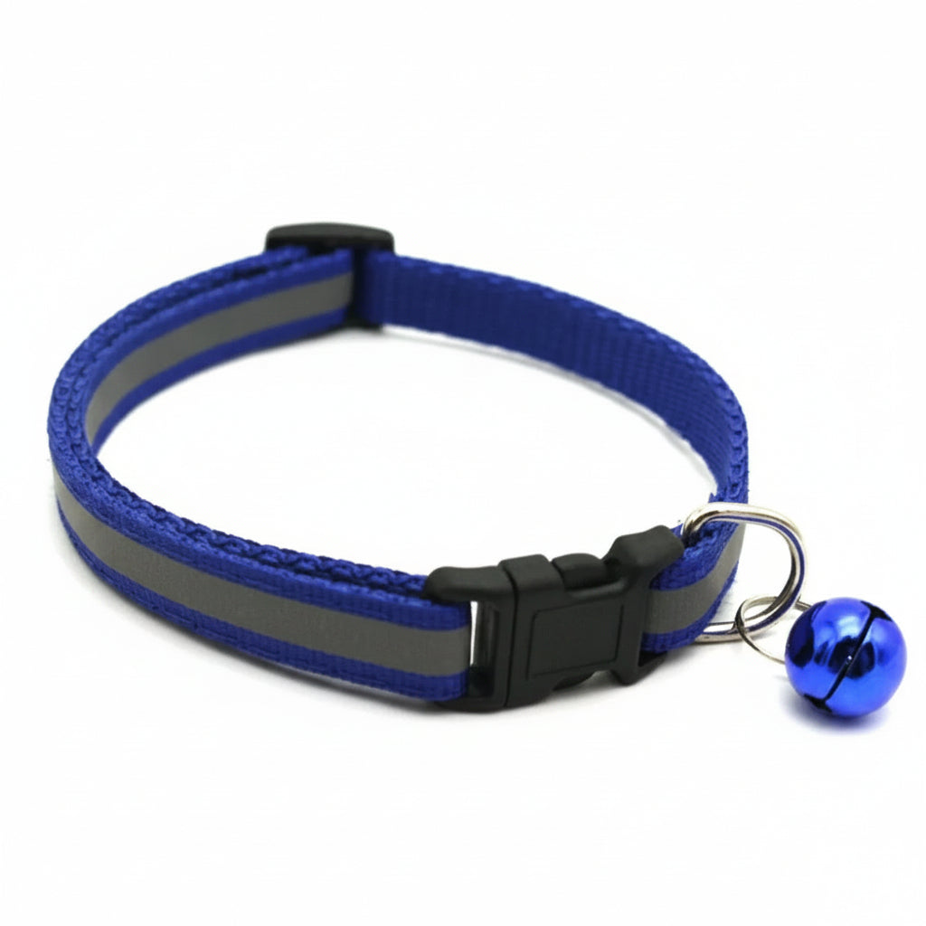 Reflektierendes LED-Halsband in Saphirblau