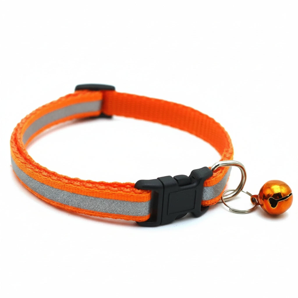 Reflektierendes LED-Halsband in Orange