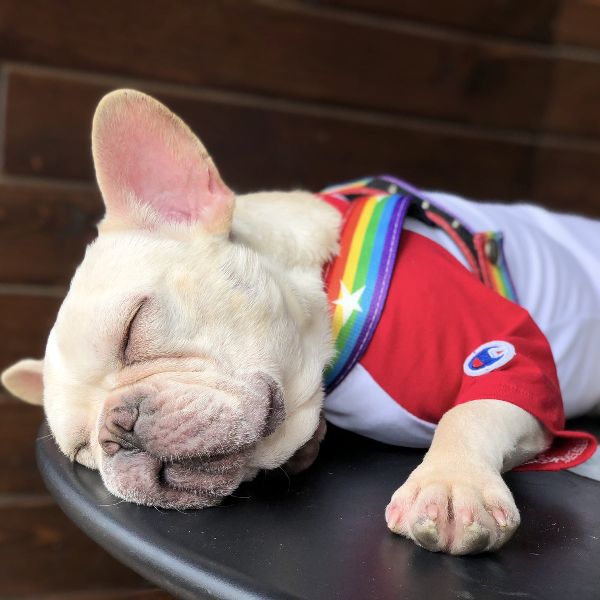 Rainbow Cool Dog Chain Dog Leash